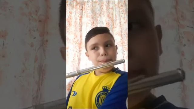mi bebito fiu fiu en flauta traversa no tengo mucha experiencia смотреть онлайн