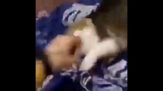 170 - 250 Bpm Breakcore Amen Break Cat 3