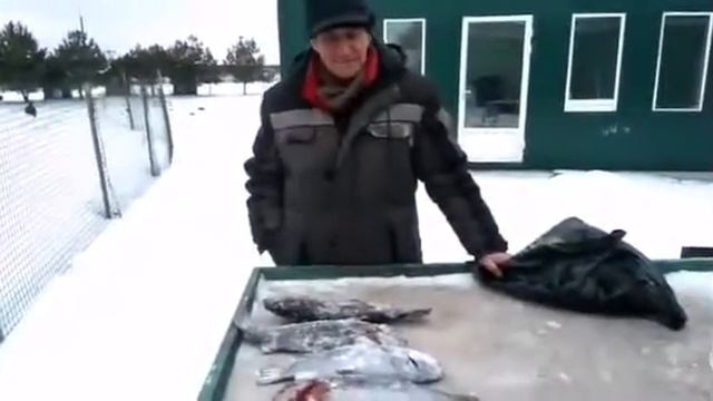 30.01.21 рыбалка Гарантия. Уловы смотреть онлайн