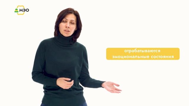 Нужно ли дошкольнику соблюдать режим дня? Чего не знают взрослые? смотреть онлайн