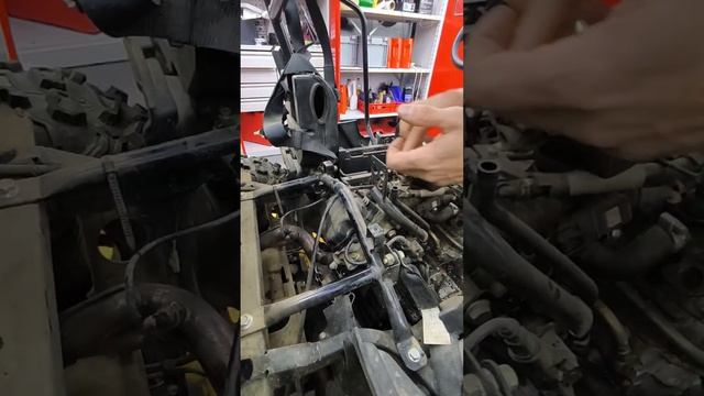 Можете не сомневаться смотреть онлайн