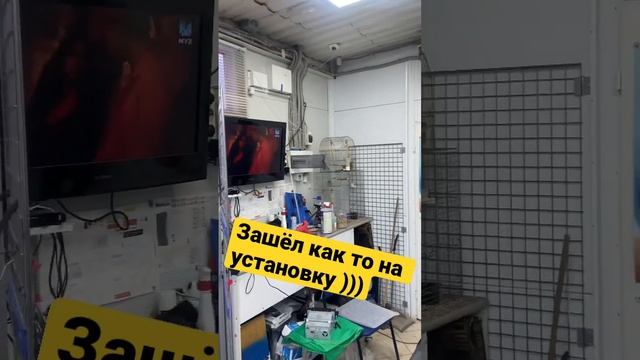 Забавный попугай на установке ))) смотреть онлайн