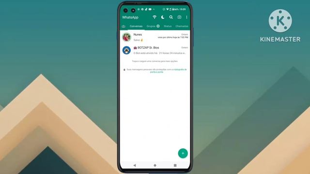 GBWHATSAPP PRO BY ALEX MODS V17.40 (MAIS RECENTE) смотреть онлайн
