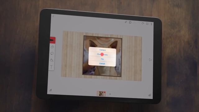 Now Add Images In FlipaClip! It's FREE!