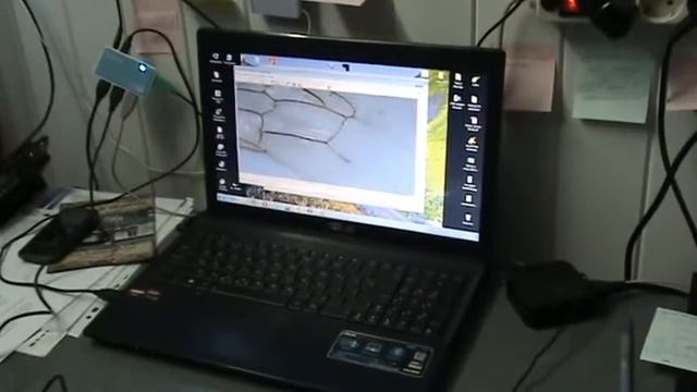 Учимся делать мм-анализ породного состава пчелосемьи смотреть онлайн