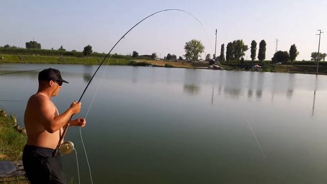 fly fighing big amur e big carp 6 смотреть онлайн