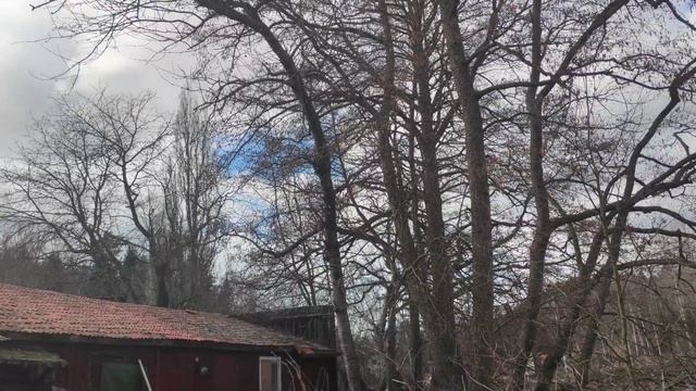 Three Saab SK60's Flying Above My House смотреть онлайн