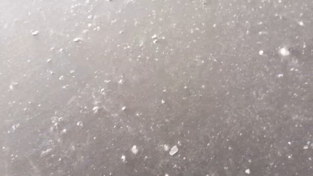 Что я обнаружил на секретном пруду. смотреть онлайн