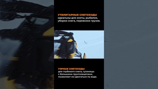 Вопрос к вам: горник или утилитарка? #brp #offroad #мототехника #lynx #skidoo смотреть онлайн