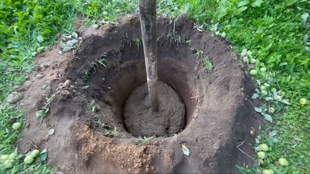 Колодец на 2 х плывунах д Рогатино Клинский район смотреть онлайн