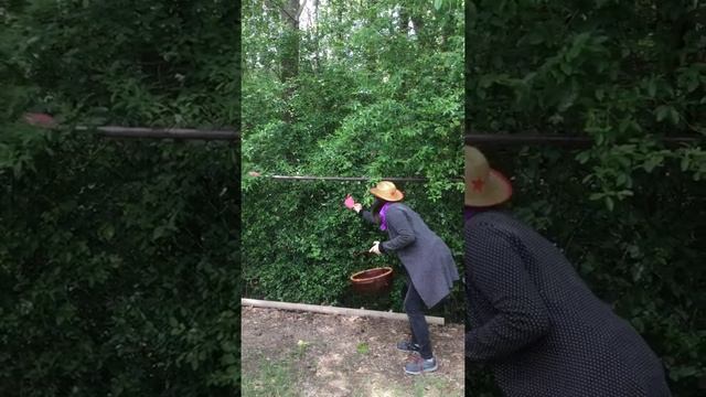 Let’s Go Apple Picking On The Farm!