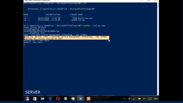 DEMO PLATINUM BYPASS WINDOWS FIREWALL USING INTEL MANAGEMENT TOOL CHIPSET смотреть онлайн
