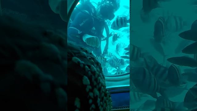 подводная лодка смотреть онлайн