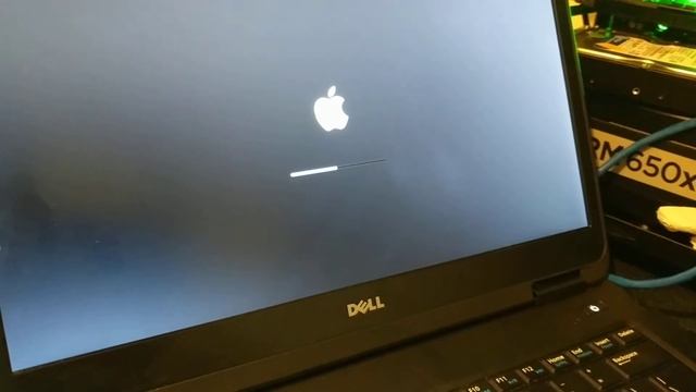 Dell Latitude E5440: Intel HD Graphics 4600 4/5 MB смотреть онлайн