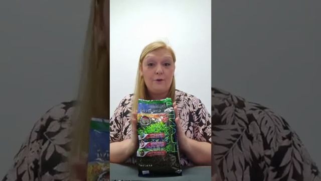 Shrimplovers Goes Through a few New Must Have Products This Summer смотреть онлайн