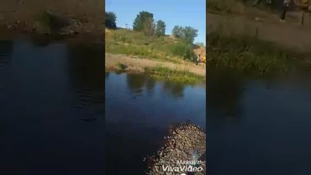 Рыбалка на окунь на поплавок смотреть онлайн