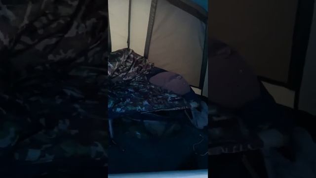Морозное утро на дикаре смотреть онлайн