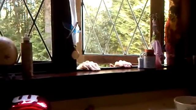 Emily "falling" out the window смотреть онлайн