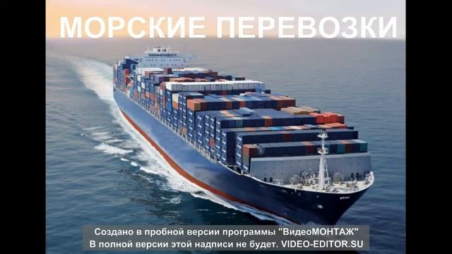 ООО "ДВ ГРУПП" смотреть онлайн