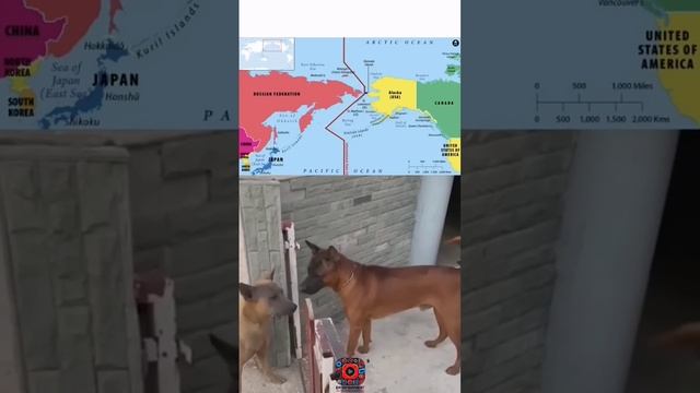 Россия против США 🤣😂 смотреть онлайн