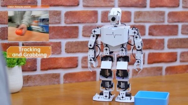 TonyPi Pro -- AI Vision Humanoid Robot