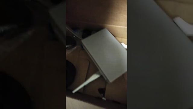 Рачок Артемия уход!