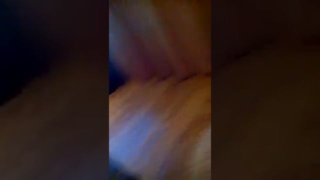 3D дешный телек смотреть онлайн