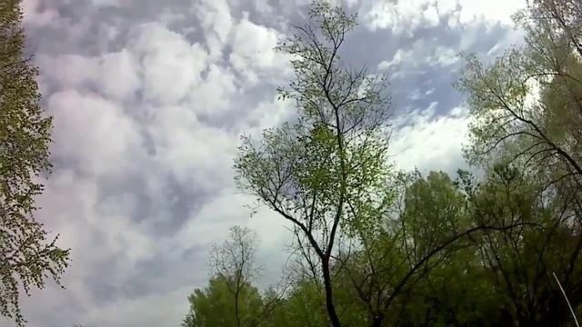 Рыбалка на самодельный воблер поиск рыбы на разливах смотреть онлайн