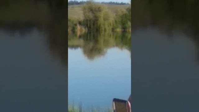 Когда на рыбалке не клюёт. смотреть онлайн