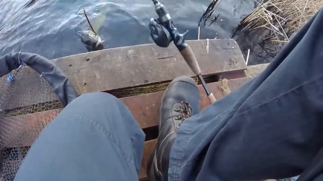 fishing for perch and pike with light casting. смотреть онлайн