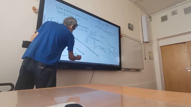 Эонозинофилы, Нейтрофилы , Базофилы. (в описании таймкоды основных частей темы) смотреть онлайн