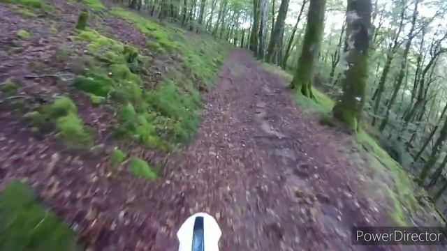 Un arbre se trouve à travers de mon chemin/Rieju MRT Pro 2016 смотреть онлайн