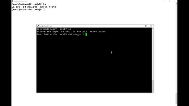 16 SSH RSYNC смотреть онлайн