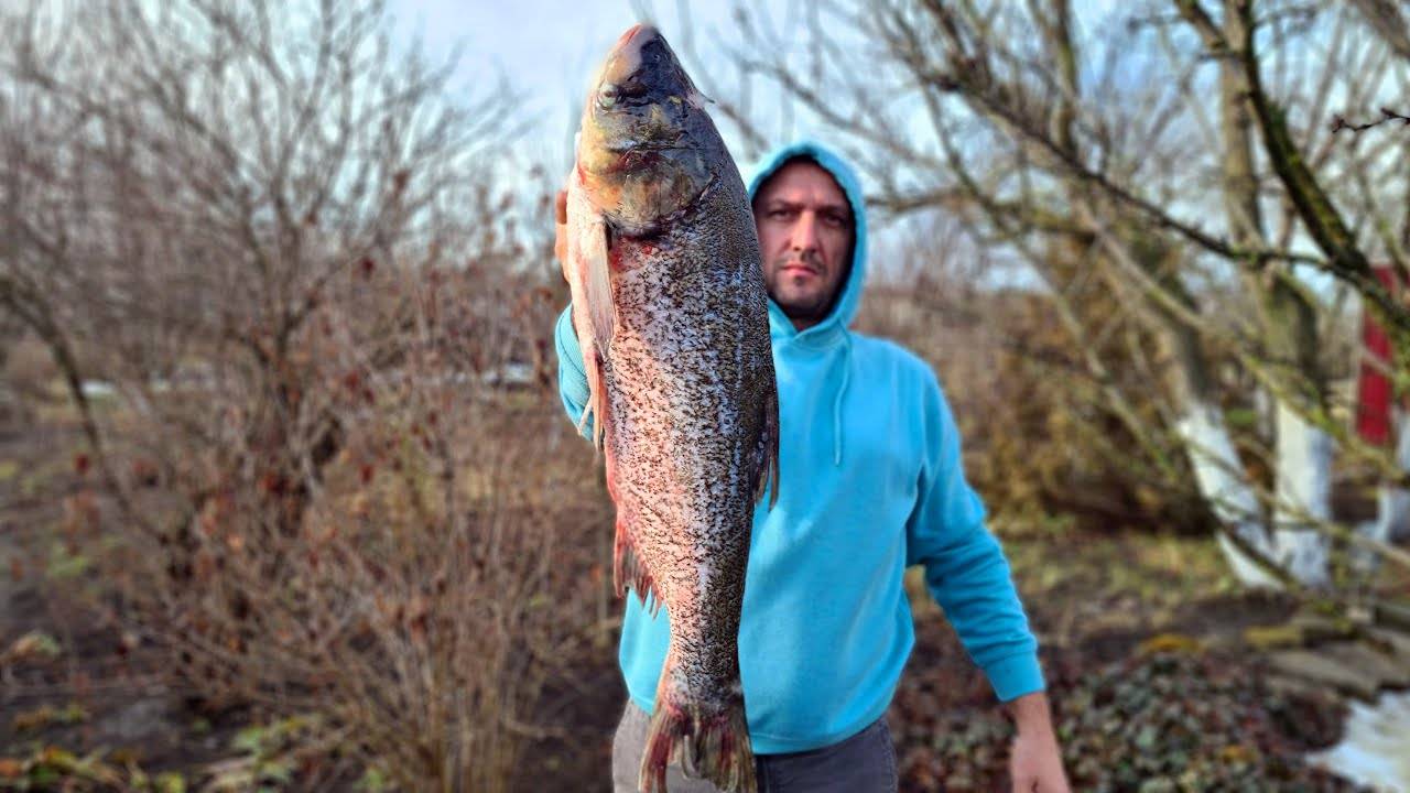 Хе из толстолобика - Тёщин рецепт смотреть онлайн