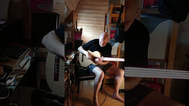 Electroacoustic bass guitar смотреть онлайн
