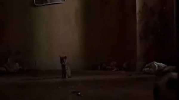 Radiohead - my iron lung