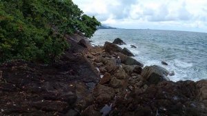 Делюсь секретным местом для рыбалки на Ко Чанге