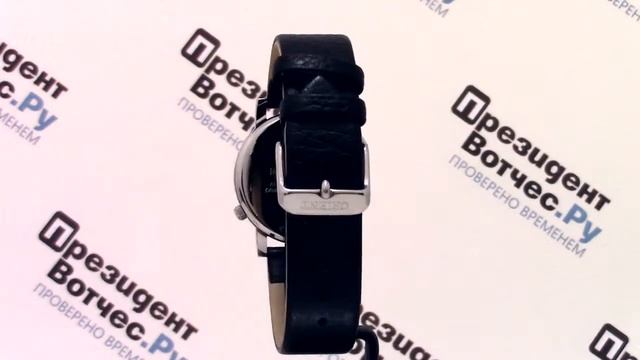 Часы Orient UB8Y002B [FUB8Y002B0] - Круговой обзор от PresidentWatches.Ru