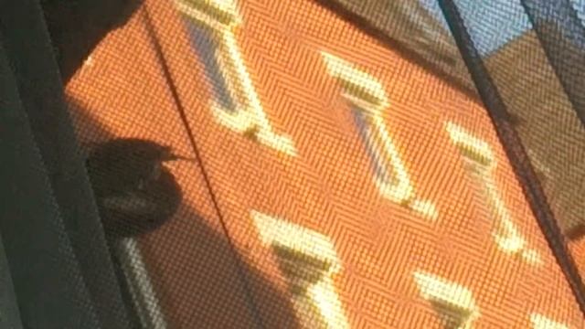 Кормушка у озера смотреть онлайн