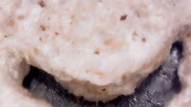 off brand lucky charms under a microscope смотреть онлайн