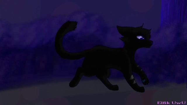 ~Warrior Cats M.A.P.~GHOSTS~