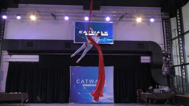 Литвинчук Елизавета - Catwalk Dance Fest [pole dance, aerial] 29.05.2021г. смотреть онлайн