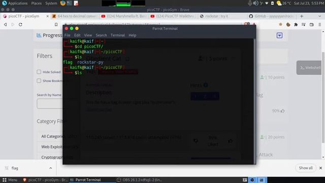 picoCTF: Obedient Cat | General Skills | cat linux tool смотреть онлайн