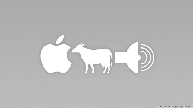 Music Maker Jam Windows 8 смотреть онлайн