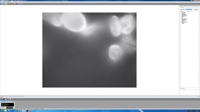 Pollen @ 100x смотреть онлайн
