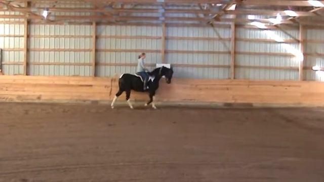 Beau Arena Warm up смотреть онлайн