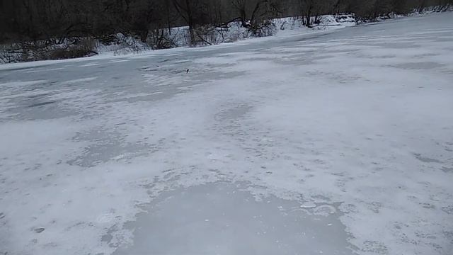 Донки в глухозьмье и мудрый пескарь! смотреть онлайн