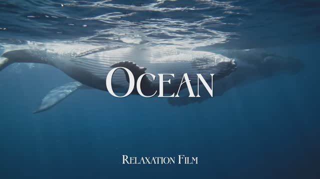 The Ocean Film 4K - Deep Relaxation and Nature Underwater - Video Ultra HD смотреть онлайн