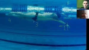 4 ЭЛЕМЕНТА ТЕХНИКИ КРОЛЯ, ЧТОБЫ ПРИБАВИТЬ в СКОРОСТИ на длинных дистанциях