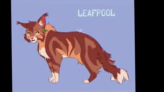 My top ten fav warrior cats / Izzythewarriorcatsfan смотреть онлайн